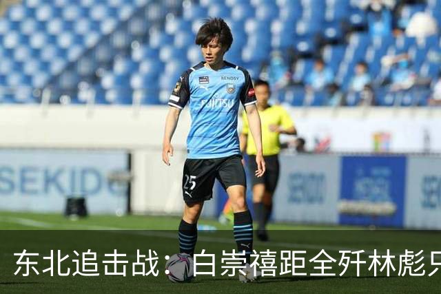 东北追击战：白崇禧距全歼林彪只差一道命令，历史差点被改写！